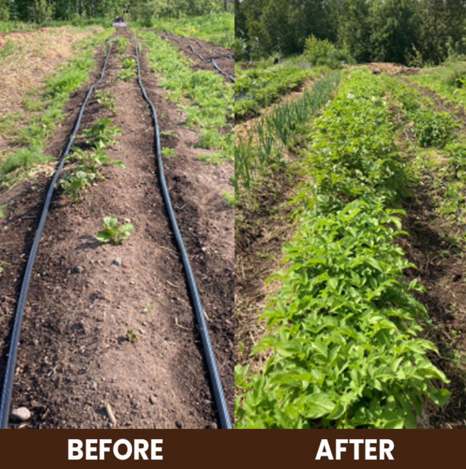 Premium Soil Activator & Liquid Fertilizer,Dirt Health Booster, Liquid Fertilizer for Indoor & Outdoor Plants for Raised Garden Beds, Potting Mix, and Seedling Compost