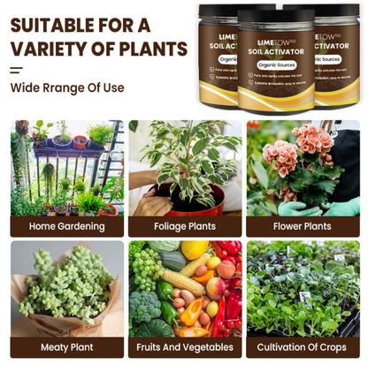 Premium Soil Activator & Liquid Fertilizer,Dirt Health Booster, Liquid Fertilizer for Indoor & Outdoor Plants for Raised Garden Beds, Potting Mix, and Seedling Compost
